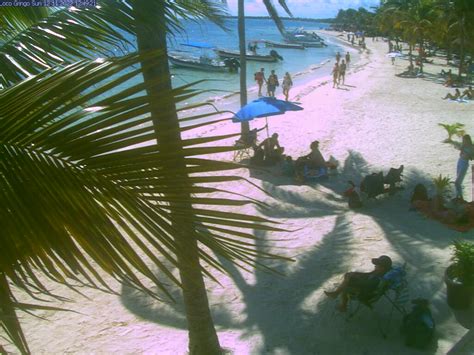 akumal bay webcam|Akumal Bay, Cancún Live Beach Cam